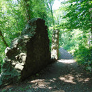 DSC07300.JPG