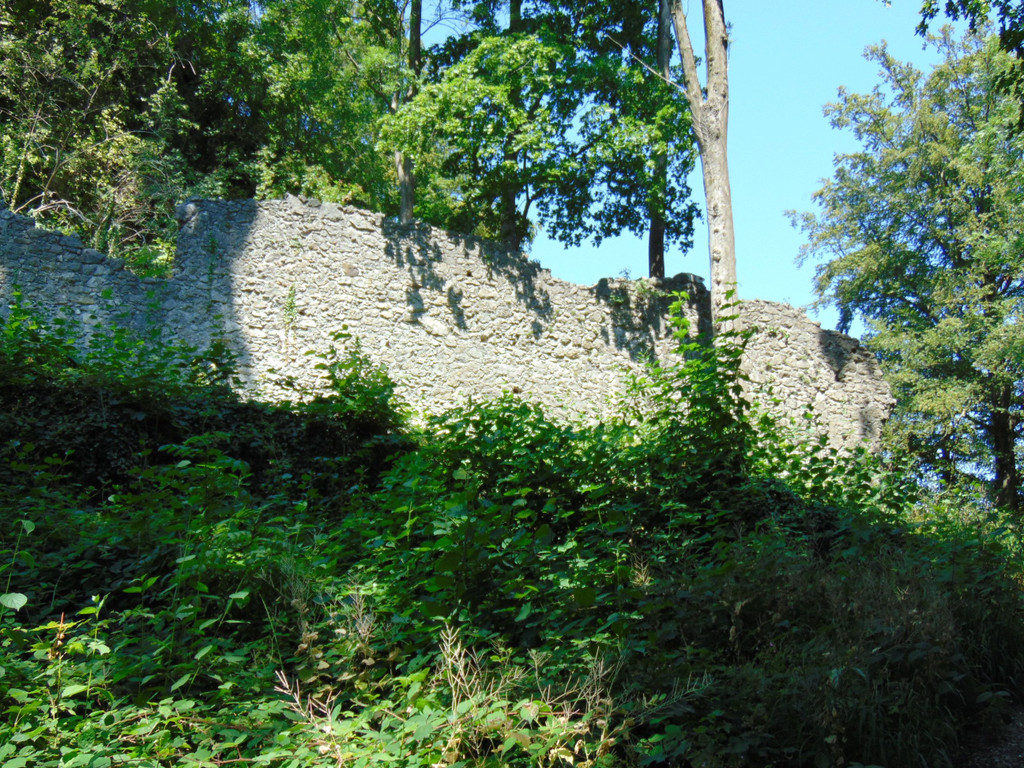 DSC07301.JPG