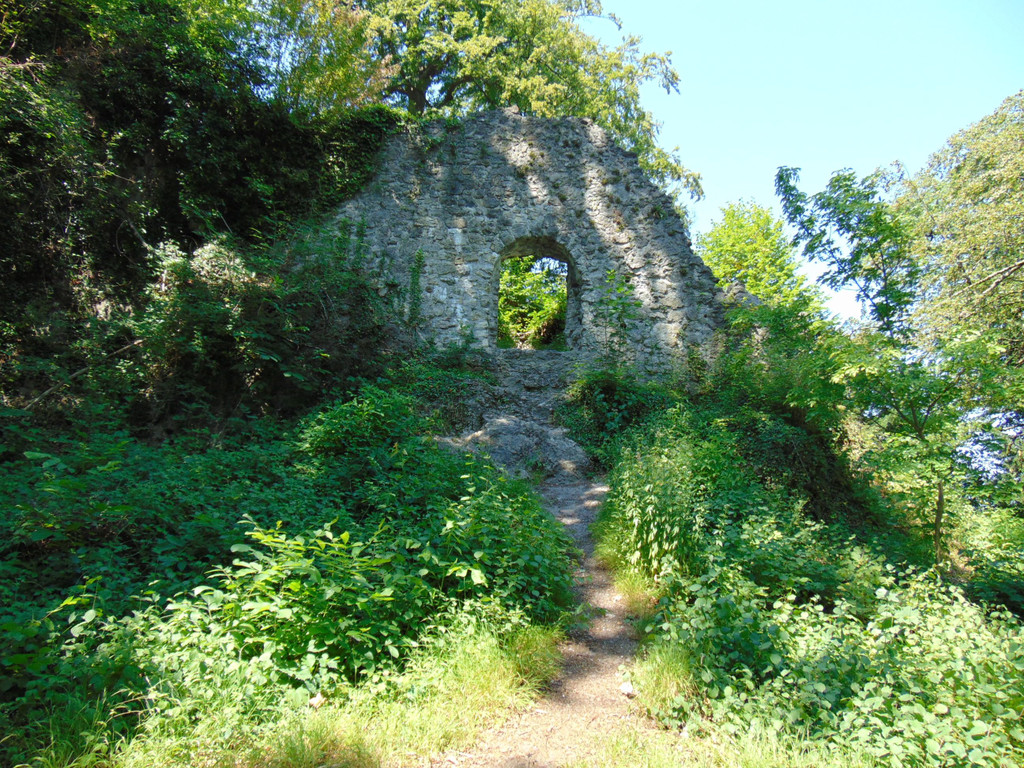 DSC07302.JPG
