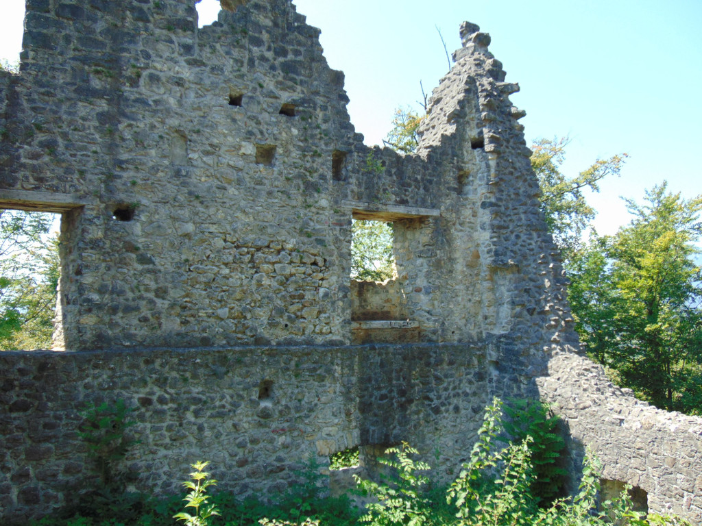 DSC07307.JPG