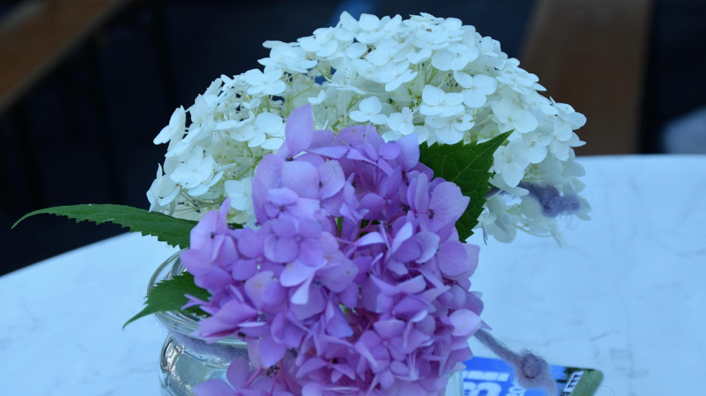 DSC_0554.JPG