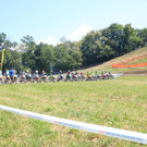 IMG_8399 _Copy__JPG-1530467979.jpg