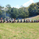 IMG_8400 _Copy__JPG-1530467981.jpg