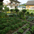 Dornbirn Mayer G DSC01914.JPG