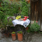 Dornbirn Mayer G DSC01918.JPG