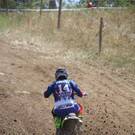 IMG_9806 _Copy__JPG-1530514067.jpg