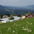DSC01808.JPG