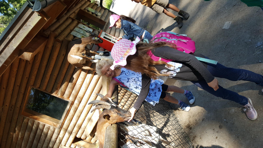 20180626_093040.jpg