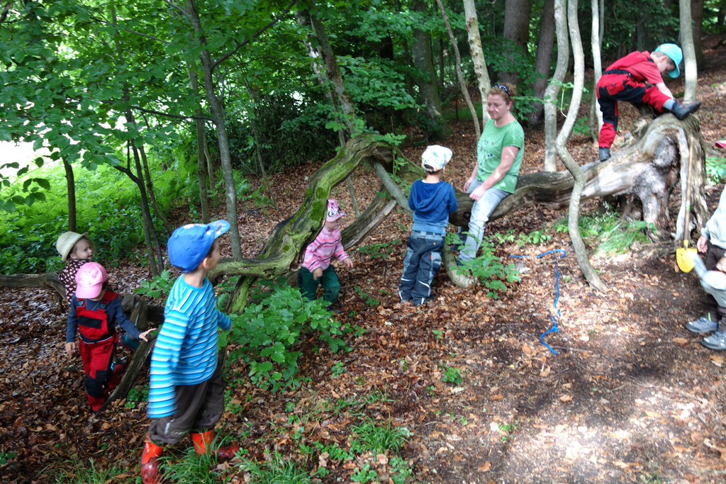 Waldtag_ 6_6 _8_.JPG