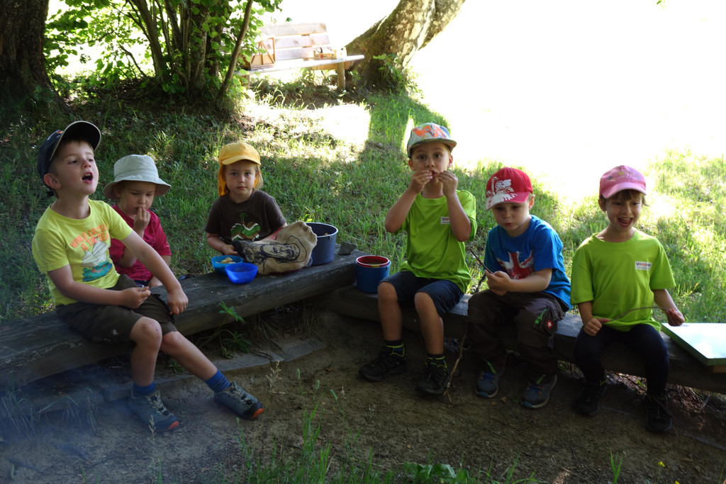 Waldtag_ 20_6 _4_.JPG