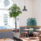 Midi-21_Credit Midi_.jpg