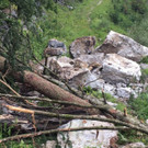 IMG-20180703-WA0000.jpg