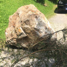 IMG-20180703-WA0002.jpg