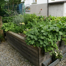 Hard Gruber G DSC01861.JPG