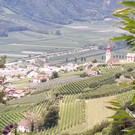 Schöne Wanderwoche des Vorarlberger Seniorenbundes im Vingschgau