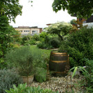 Hard Gruber G DSC01864.JPG