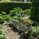 Hard Labenbacher G   DSC01837.JPG