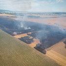 seyfert_BFK_MD_DJI_0151.jpg