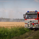 seyfert_BFK_MD_1328.jpg