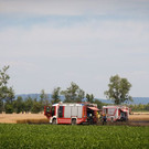 seyfert_BFK_MD_1323.jpg