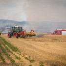 seyfert_BFK_MD_1313.jpg