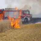 FF_Guntramsdorf__8993.jpg
