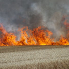 FF_Guntramsdorf__8971.jpg
