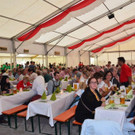 BMF Wald a_ A_ 2018 _346_.jpg