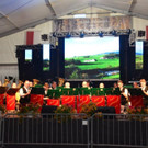 BMF Wald a_ A_ 2018 _350_.jpg