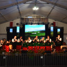 BMF Wald a_ A_ 2018 _358_.jpg