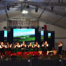 BMF Wald a_ A_ 2018 _384_.jpg