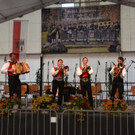 BMF Wald a_ A_ 2018 _403_.jpg