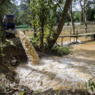 AFP_17592I.jpg