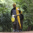 Thailand_Cave_Search_73888.jpg
