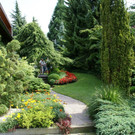 Hard Wolff G DSC01839.JPG