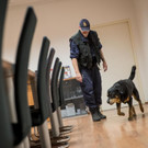 Training_Polizeihunde_11.jpg
