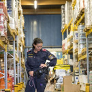 Training_Polizeihunde_12.jpg