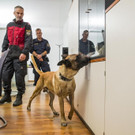 Training_Polizeihunde_16.jpg