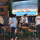 Fussball WM 2018 _2_.JPG