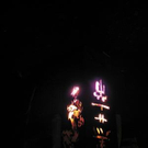 1173446.jpg