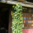 H__chst Wohlleib G DSC01870.JPG