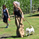 Gauditurnier auf dem Hundeplatz
