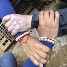 Thailand_Cave_Search_23390.jpg