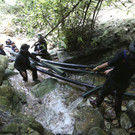 Thailand_Cave_Search_79826.jpg