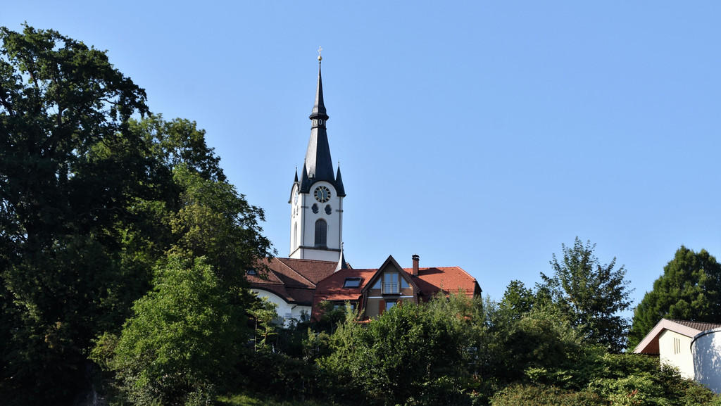 DSC_0141 _2_.JPG