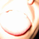 1177511.jpg