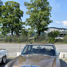 DSC_0057.JPG