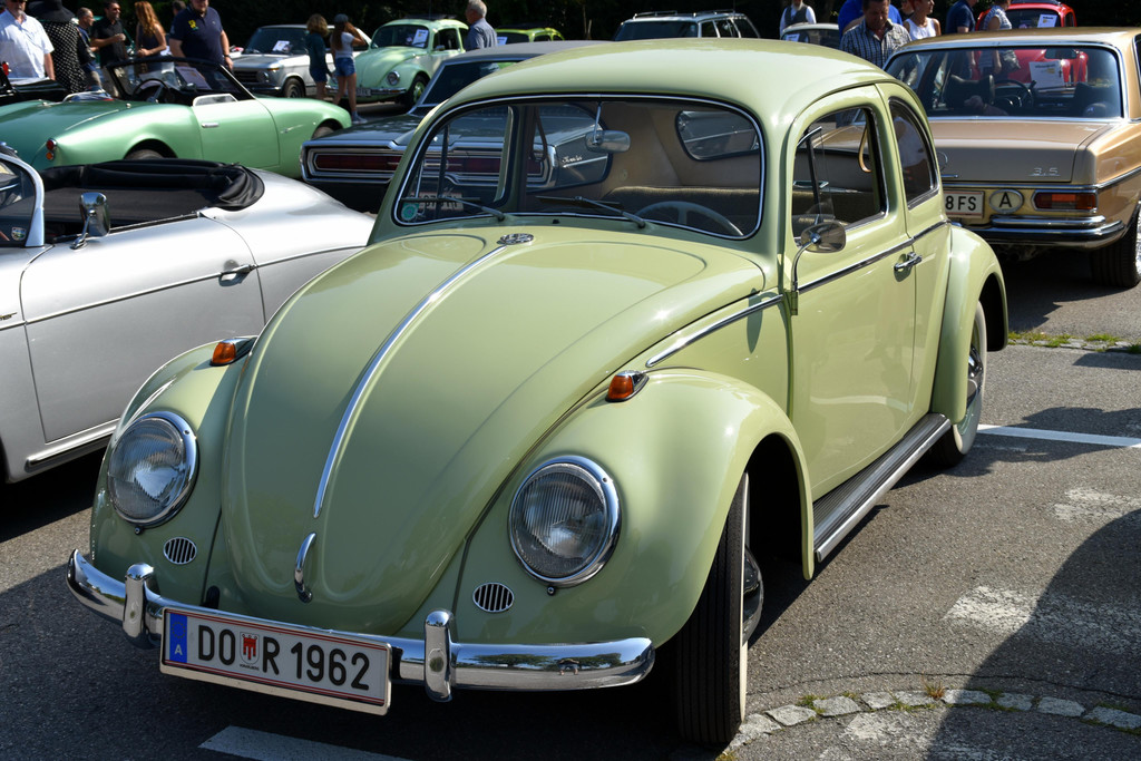 DSC_0098.JPG
