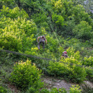 20180709_fmt_Bergputzer_muellnerhauptstrasse_mw-2.jpg