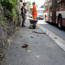 20180709_fmt_Bergputzer_muellnerhauptstrasse_mw-8.jpg